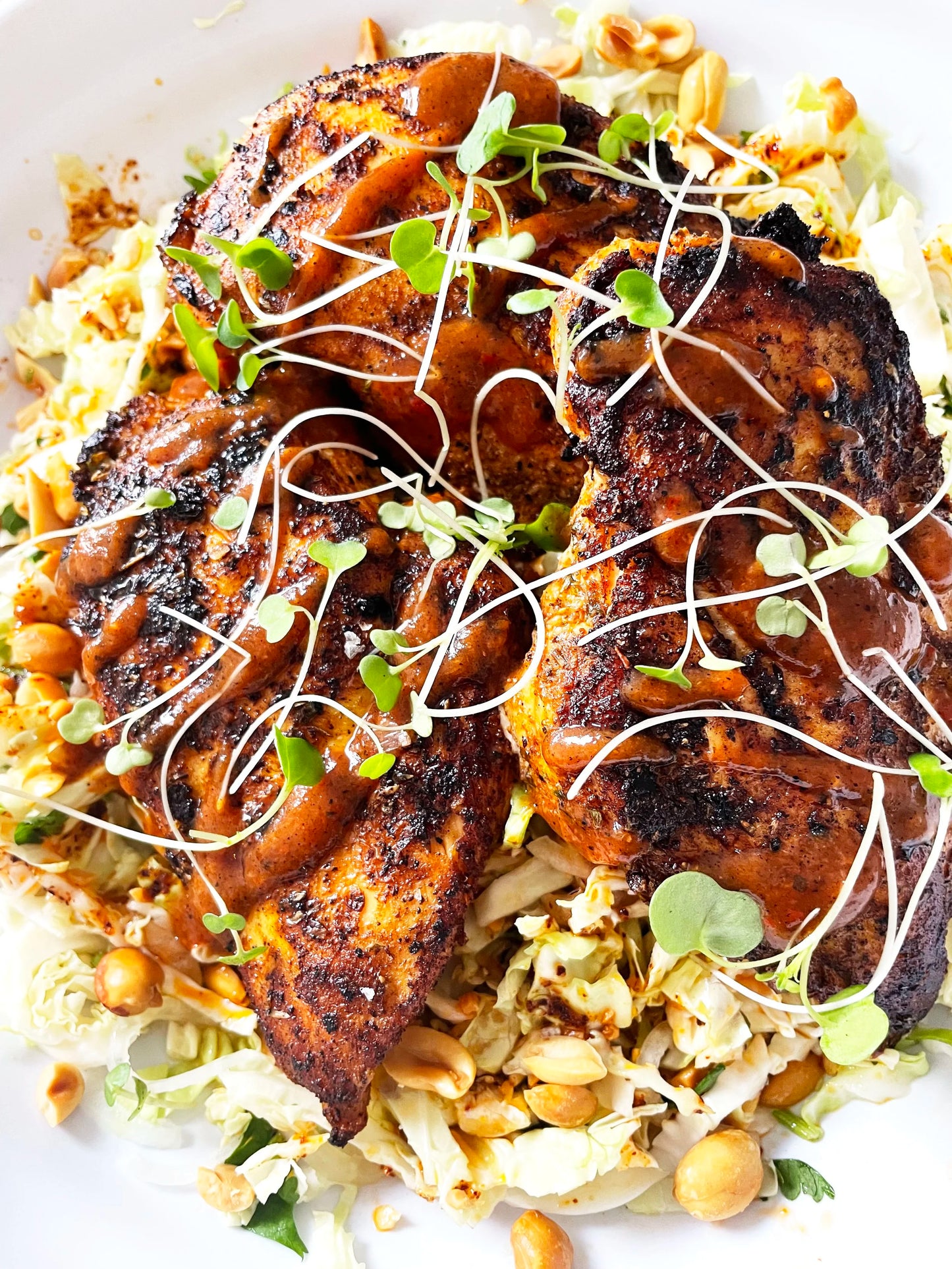 Arroz Con Pollo with Crunchy Peanut Salad (WED)
