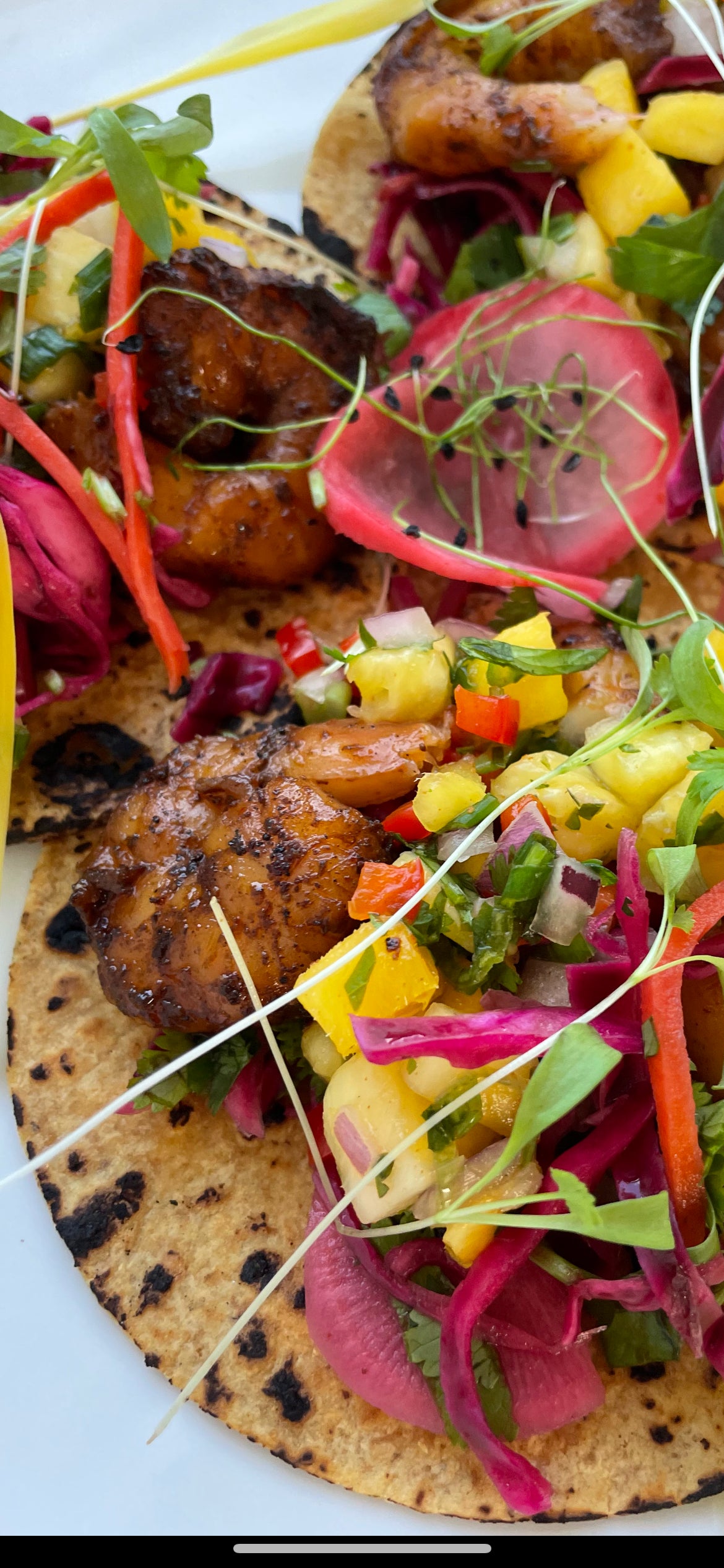 Blackened Shrimp with Tropical Slaw and Late Summer Salad