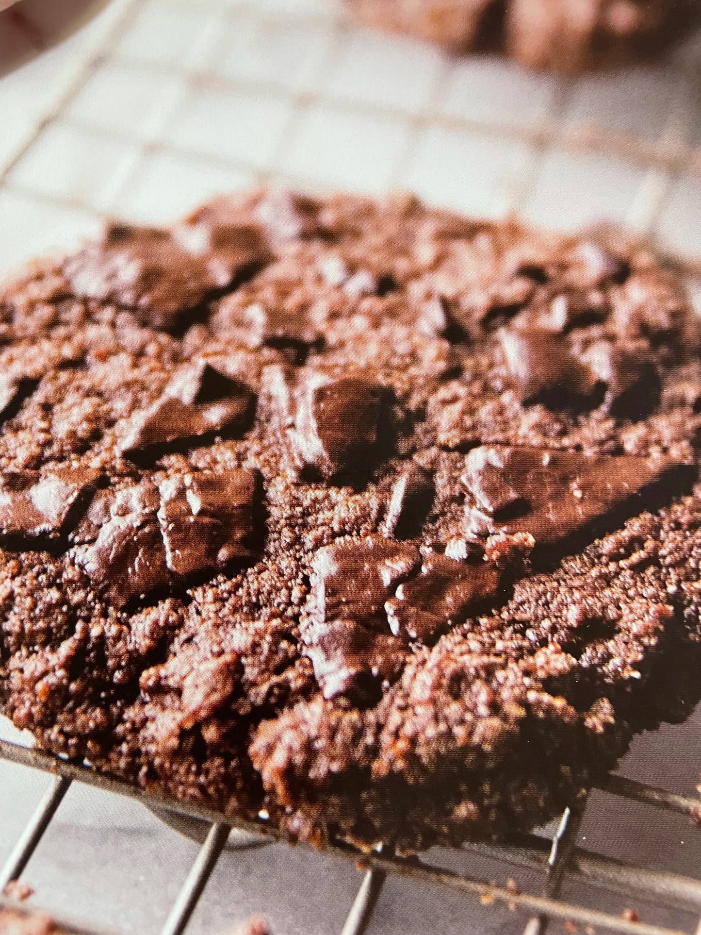 Double Chocolate Chip Cookie (WED) (Copy)