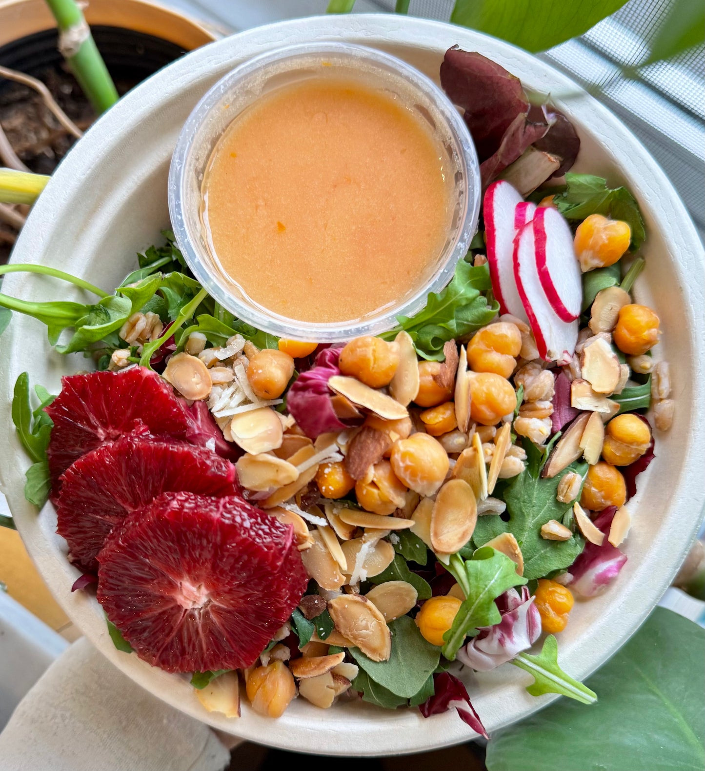 Blood Orange Spring Salad (WED)