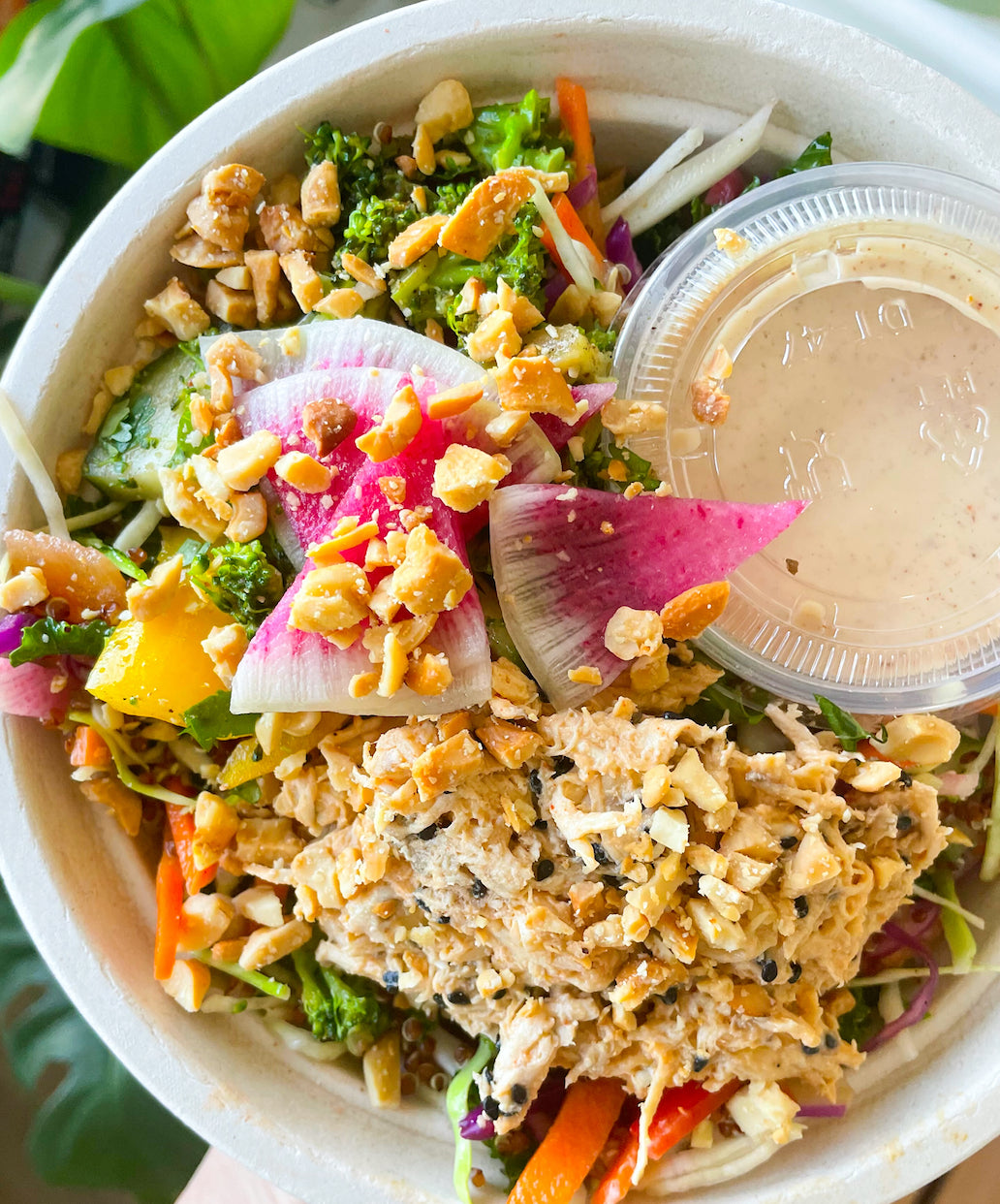 Sesame Ginger Chicken Salad (MON)