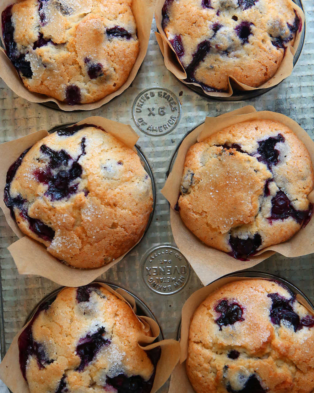 Blueberry Muffin (MON)