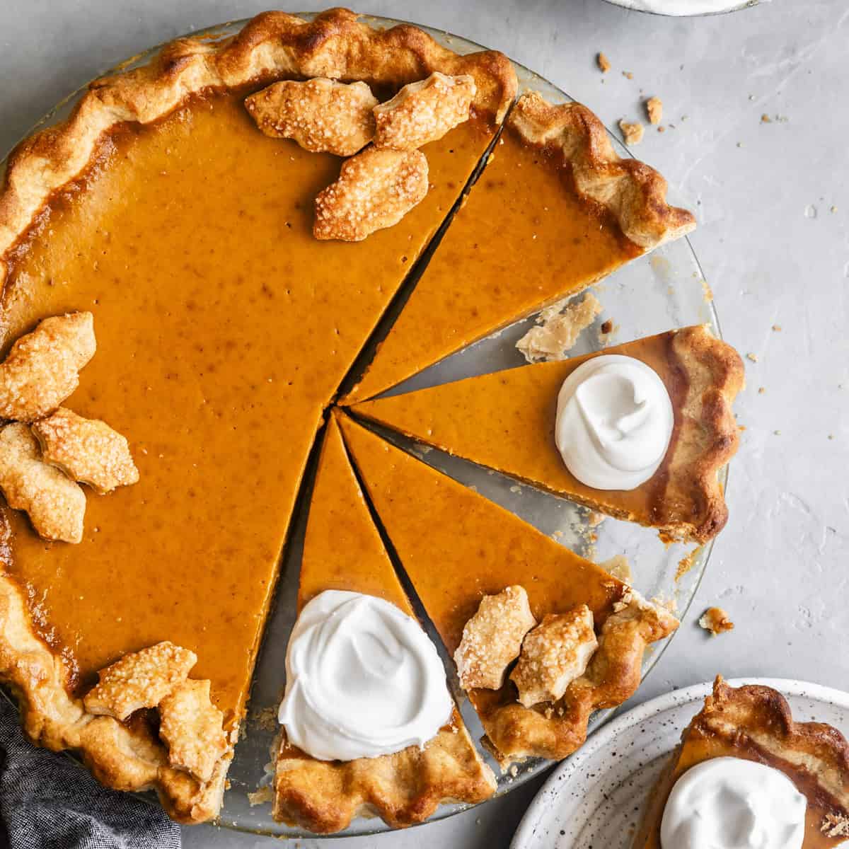 Pumpkin Pie (TG 26)