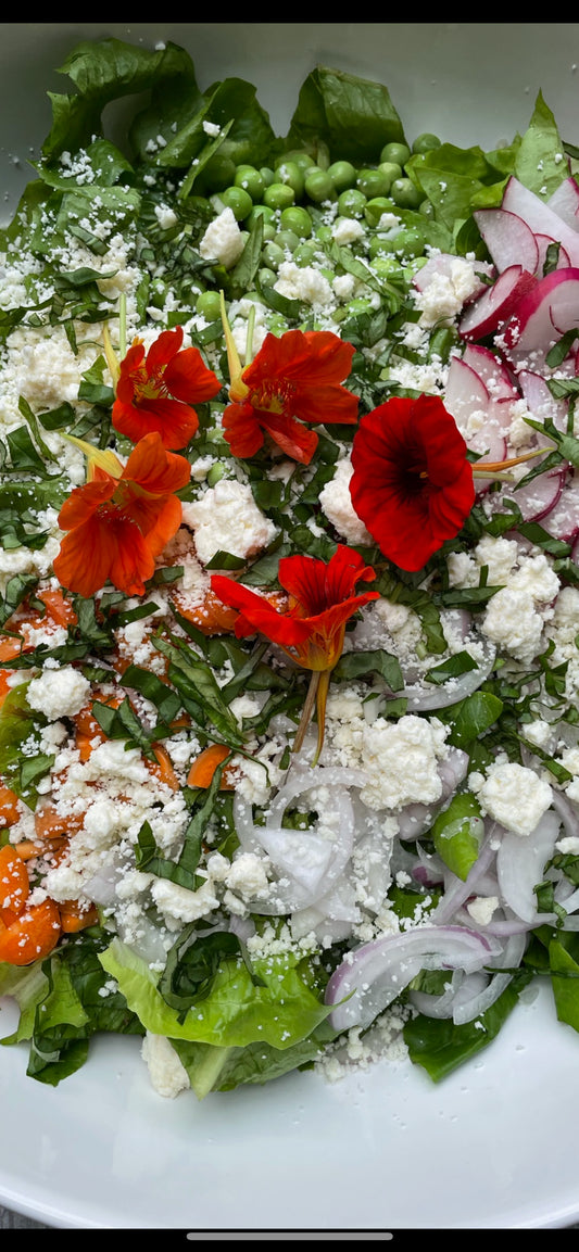 Fresh Spring Salad